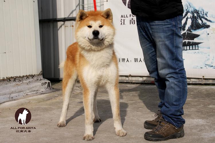 竹千代