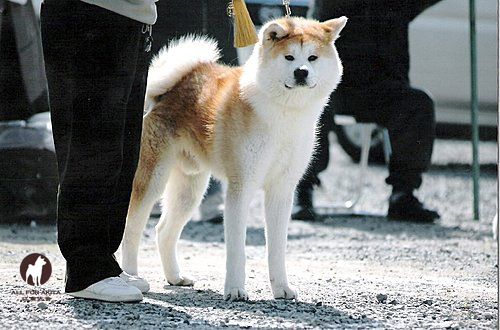 魁斗号